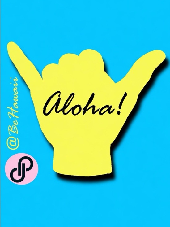 Accessories - 𝑩𝒆𝑯𝒂𝒘𝒂𝒊𝒊 🤙 𝒊𝒔 𝑳𝑰𝑽𝑬 ❤️🤙 - BeHawaii is LIVE -  buy sell